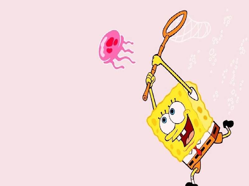 代孕 费用(试管燃烧压强增大)